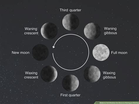 Preparing for Witchcraft Rituals during the Waxing Crescent Moon Phase